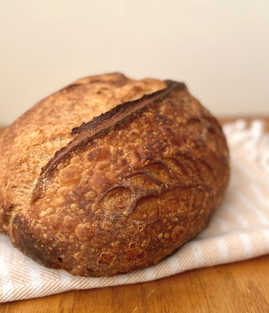 Thursday Bread Pick up: (9/24/26)